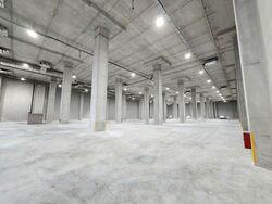 C & P Logistics Hub 2 (D22), Factory #581168381